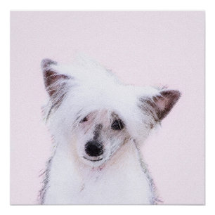 Chinese Crested Powderpuff-schilderijen - Dog Art Poster