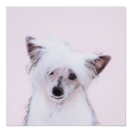 Chinese Crested Powderpuff-schilderijen - Dog Art Poster (Voorkant)