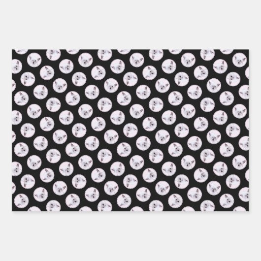 Chinese Crested Powderpuff Witte Schilderij Hond A Inpakpapier Vel (Voorkant 3)