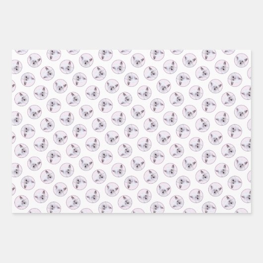 Chinese Crested Powderpuff Witte Schilderij Hond A Inpakpapier Vel (Voorkant 2)