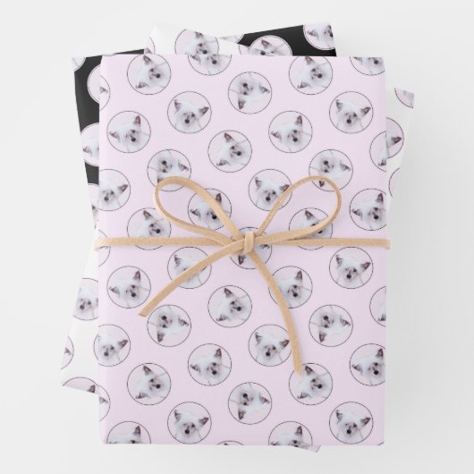 Chinese Crested Powderpuff Witte Schilderij Hond A Inpakpapier Vel (In situ)