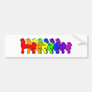 Chinese Crested Regenboog Bumpersticker