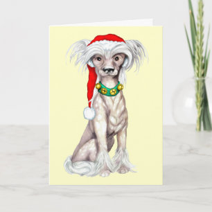 Chinese Crested Santa Feestdagen Kaart