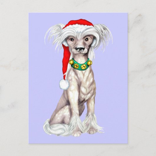 Chinese Crested Santa Feestdagenkaart (Voorkant)