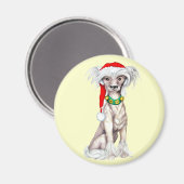 Chinese Crested Santa Magneet (Voorkant / Achterkant)