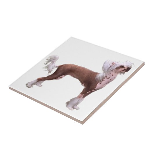 Chinese Crested Tegeltje (Zijkant)