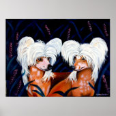 Chinese Crested Wall Print (Voorkant)