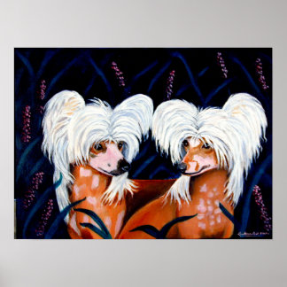 Chinese Crested Wall Print
