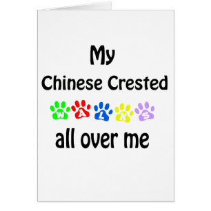 Chinese Crested Wandelingen Ontwerp