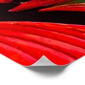 Chinese Draak Poster (Hoek)