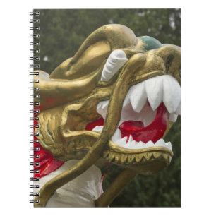 Chinese drakenboot boegbeeld, Stanley Park Notitieboek