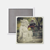 Chinese drakenmagneet magneet (Voorkant / Achterkant)