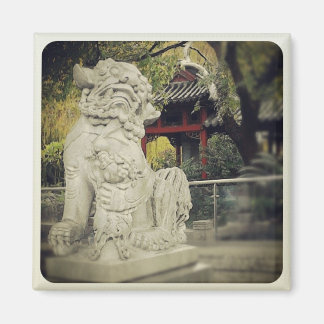 Chinese drakenmagneet magneet