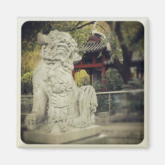 Chinese drakenmagneet magneet (Voorkant)