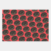 Chinese dumplings op inpakpapier vel (Voorkant 2)