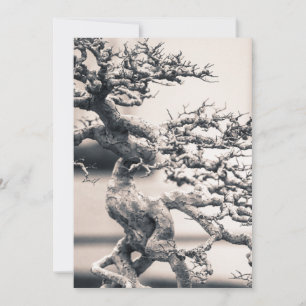 Chinese Elm Kaart