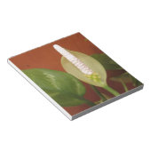 Chinese Evergreen Flower Notitieblok (Schuin)