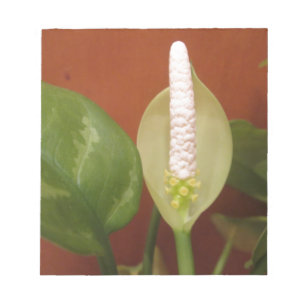 Chinese Evergreen Flower Notitieblok