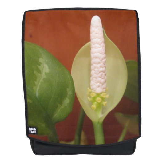 Chinese Evergreen Flower Rugtassen (Voorkant)