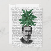 Chinese Evergreen Head Plant Briefkaart (Voorkant / Achterkant)