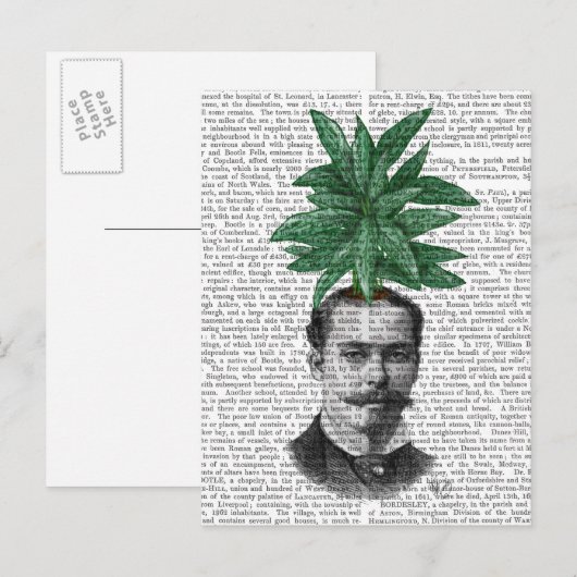 Chinese Evergreen Head Plant Briefkaart (Voorkant / Achterkant)