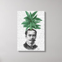 Chinese Evergreen Head Plant