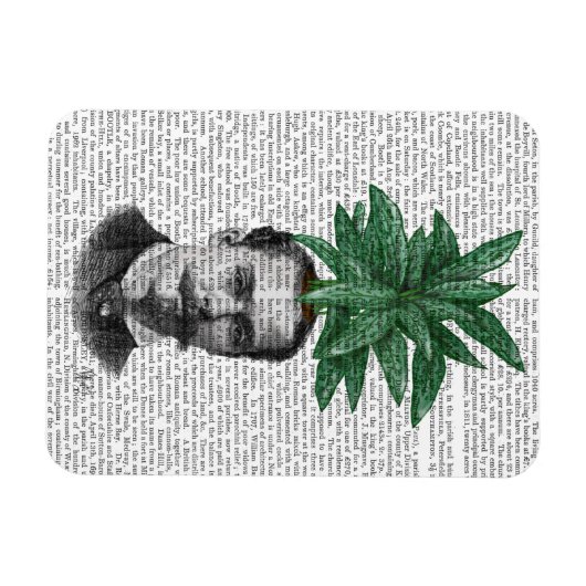 Chinese Evergreen Head Plant Magneet (Horizontaal)