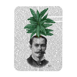 Chinese Evergreen Head Plant Magneet