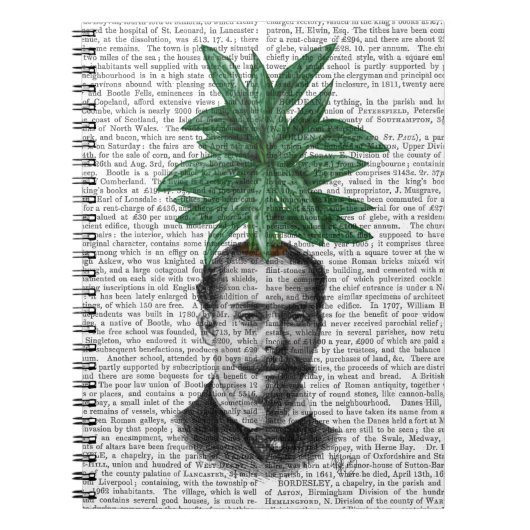 Chinese Evergreen Head Plant Notitieboek (Voorkant)