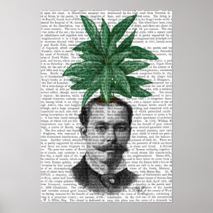 Chinese Evergreen Head Plant Poster