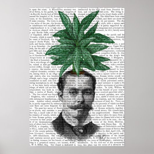 Chinese Evergreen Head Plant Poster (Voorkant)