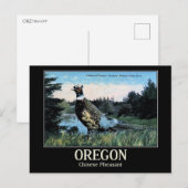 Chinese fazant, de vogel van Oregon Briefkaart (Voorkant / Achterkant)