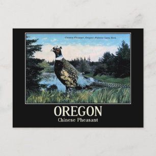 Chinese fazant, de vogel van Oregon Briefkaart