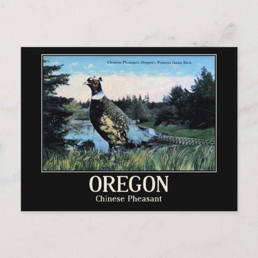 Chinese fazant, de vogel van Oregon Briefkaart (Voorkant)