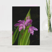 Chinese grondorchideeën kaart (Voorkant)