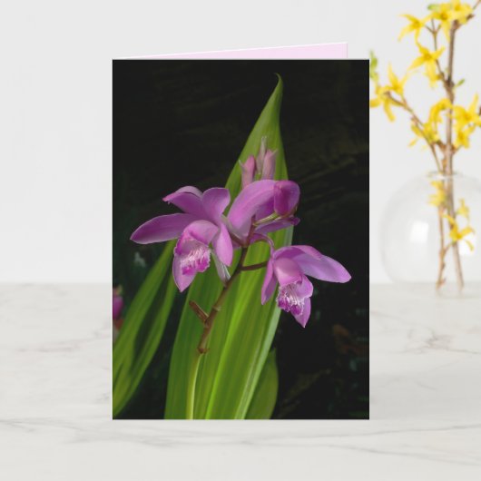 Chinese grondorchideeën kaart (Gele Bloem)