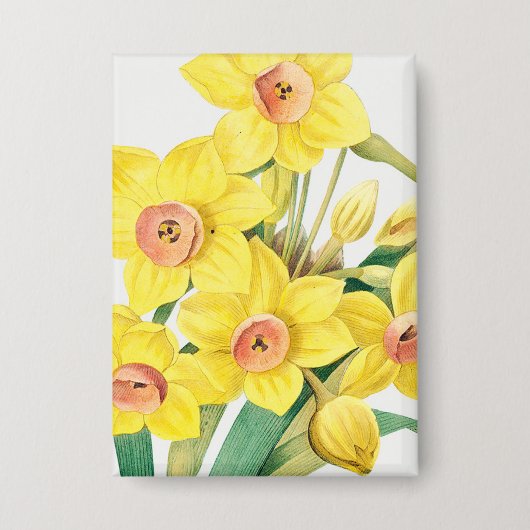 Chinese Heilige Lelie, Pierre-Joseph Redouté,  Button (Voorkant)