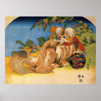  Chinese hond Poster