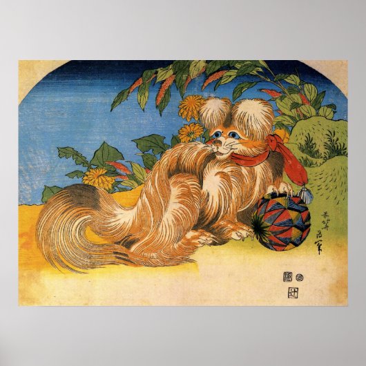 Chinese hond Poster (Voorkant)