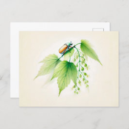 Chinese Ink Kan Bug Op Linden Briefkaart