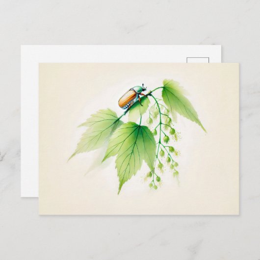 Chinese Ink Kan Bug Op Linden Briefkaart (Voorkant / Achterkant)