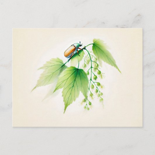 Chinese Ink Kan Bug Op Linden Briefkaart (Voorkant)