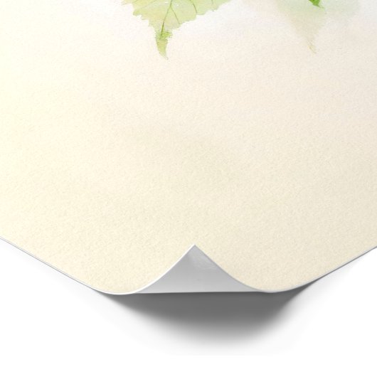 Chinese Ink Kan Bug Op Linden Poster (Hoek)