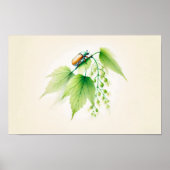 Chinese Ink Kan Bug Op Linden Poster (Voorkant)