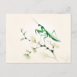 Chinese Ink Mantis op Ginkgo Briefkaart