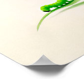 Chinese Ink vlinder rups op Linden Poster (Hoek)