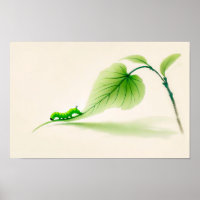 Chinese Inkt vlinder rups op Linden