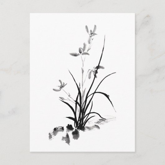 Chinese Iris - foto van Bw Briefkaart (Voorkant)