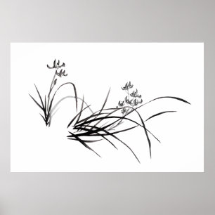 Chinese Iris in het voorjaar Poster