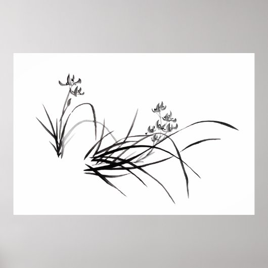 Chinese Iris in het voorjaar Poster (Voorkant)